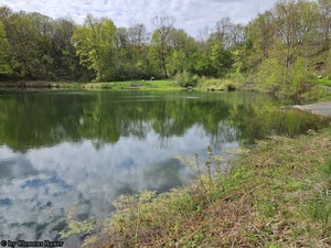 Ahnatal - Natursee Bühl